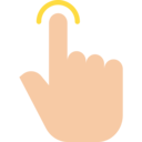 Icon primary